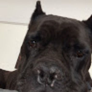 Meet your Posher, Giselle